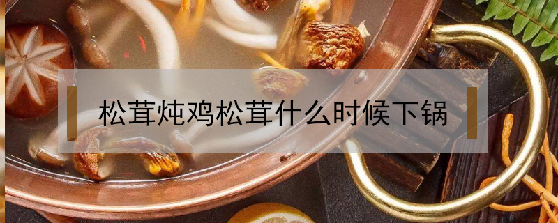 松茸燉雞松茸什么時(shí)候下鍋