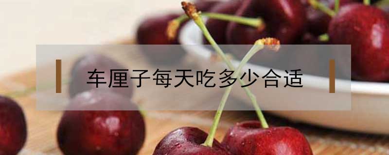 車?yán)遄用刻斐远嗌俸线m