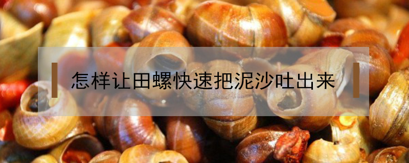 怎樣讓田螺快速把泥沙吐出來(lái)