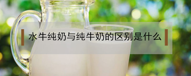 水牛純奶與純牛奶的區別是什么