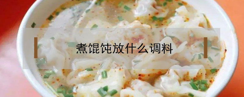 煮餛飩放什么調料