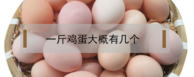 一斤雞蛋大概有幾個(gè)