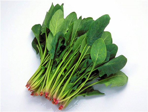 菠菜和奶可以一起吃嗎