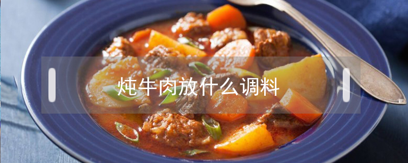 燉牛肉放什么調(diào)料