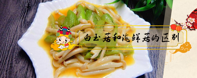 白玉菇和海鮮菇的區(qū)別