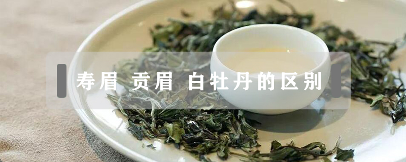 壽眉 貢眉 白牡丹的區(qū)別