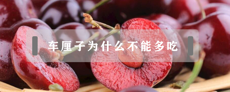 車厘子為什么不能多吃