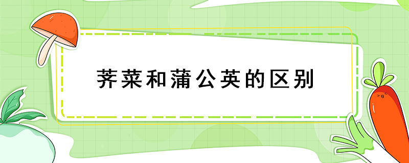薺菜和蒲公英的區(qū)別