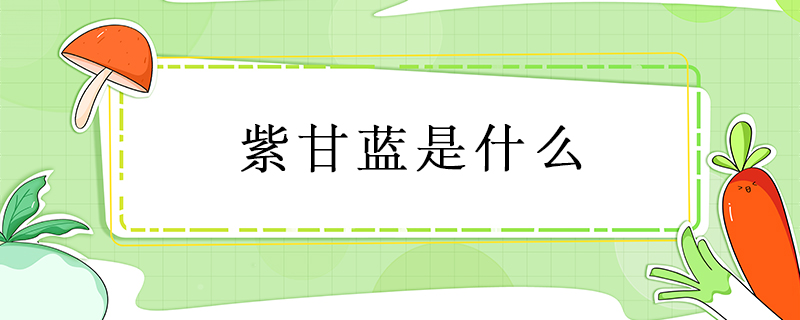 紫甘藍是什么