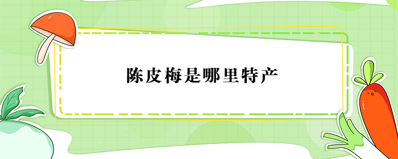 陳皮梅是哪里特產