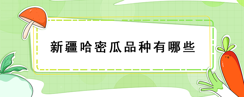 新疆哈密瓜品種有哪些
