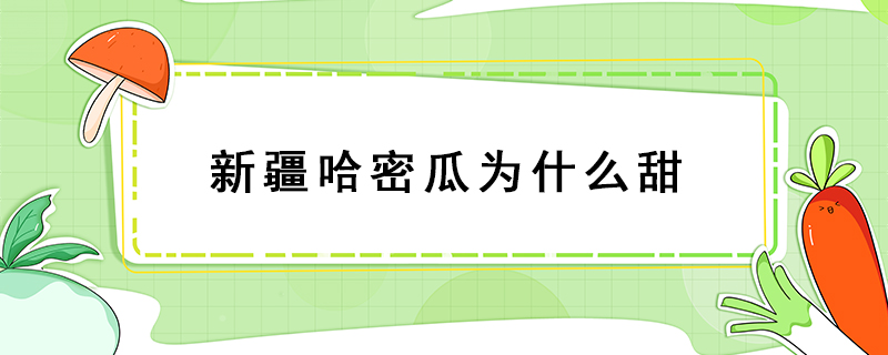 新疆哈密瓜為什么甜